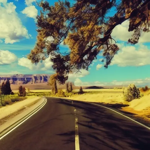 Road Trip