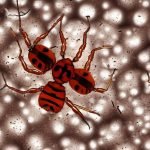 Does Bleach Kill Bed Bugs?