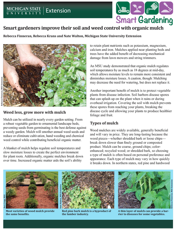 Organic mulch for vegetable garden: benefits and types - Architecture ...