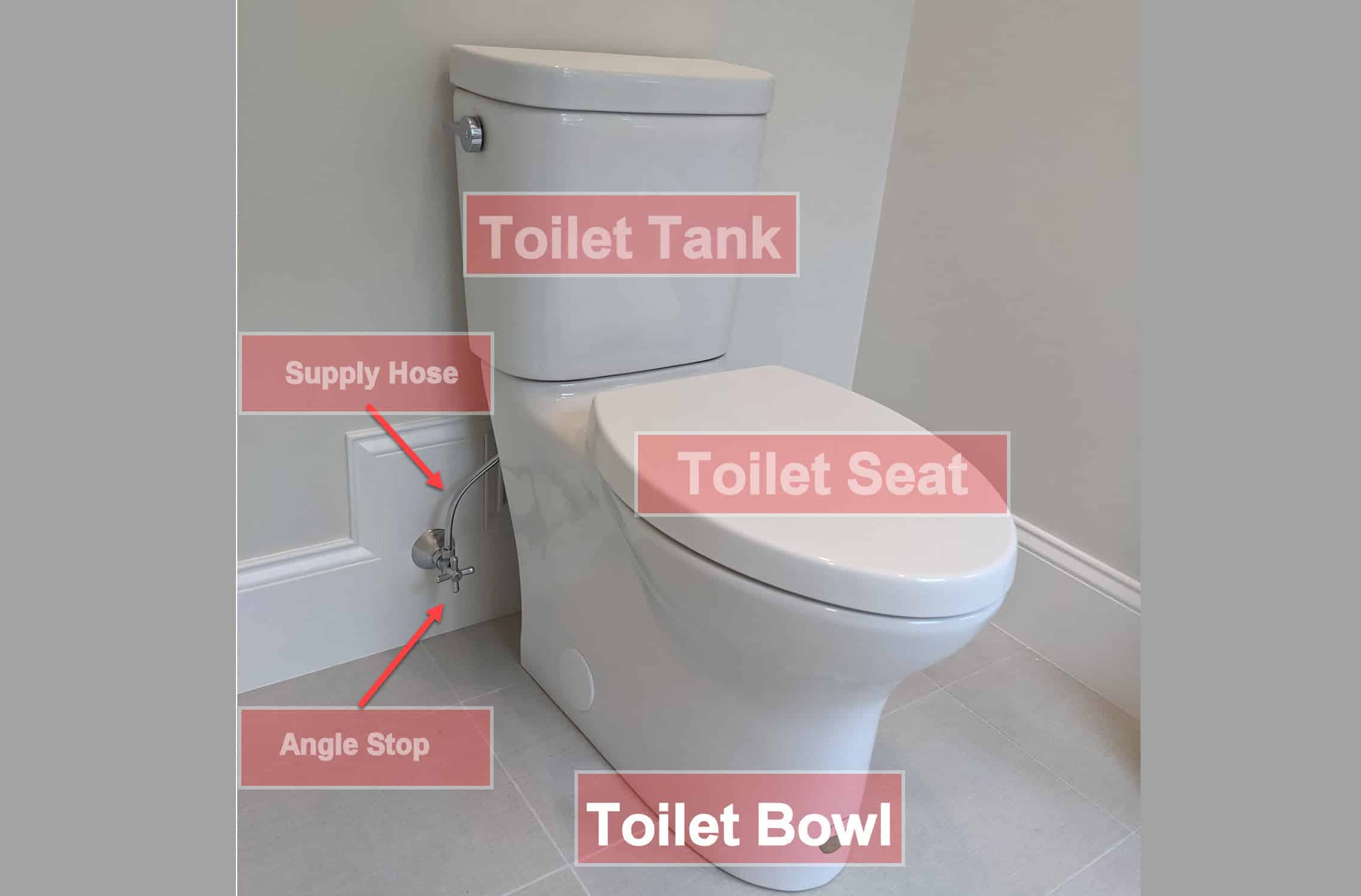 Are Toilet Seats Universal? A Comprehensive Guide to Different Shapes