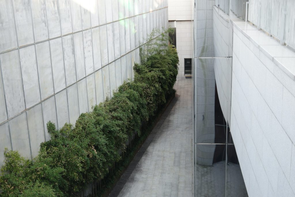 green plants on white ceramic tiles