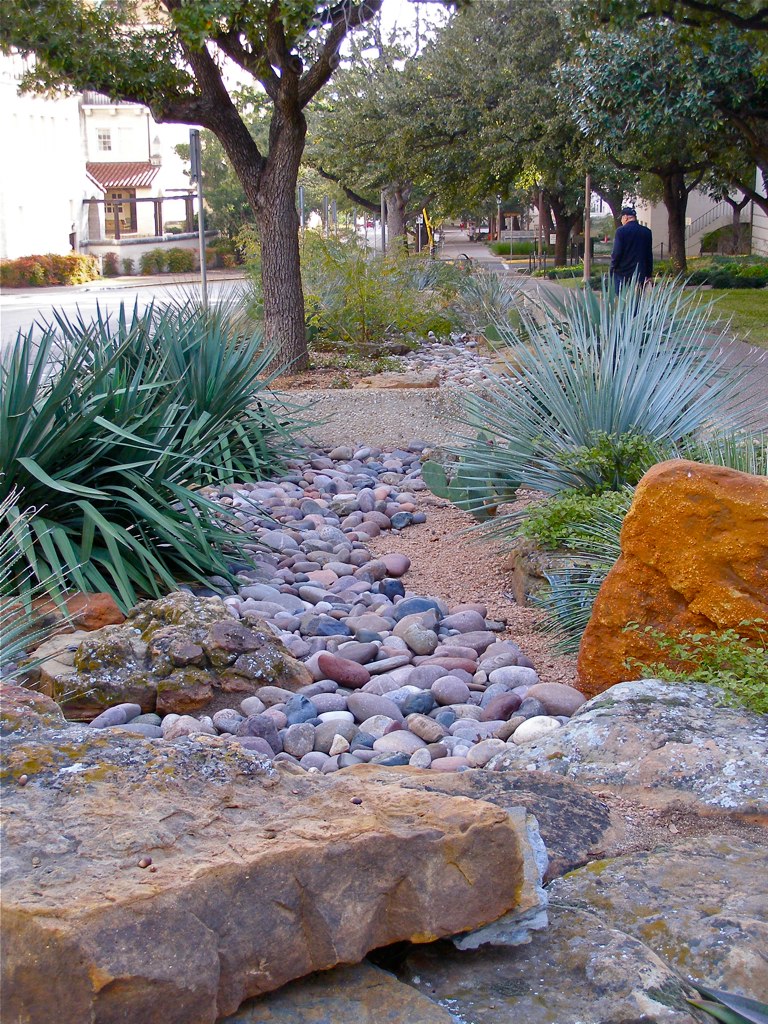 Xeriscape, Texas Style