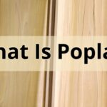 Poplar Wood – What is it? - Builders Surplus