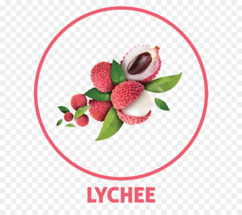 lychee pronunciation