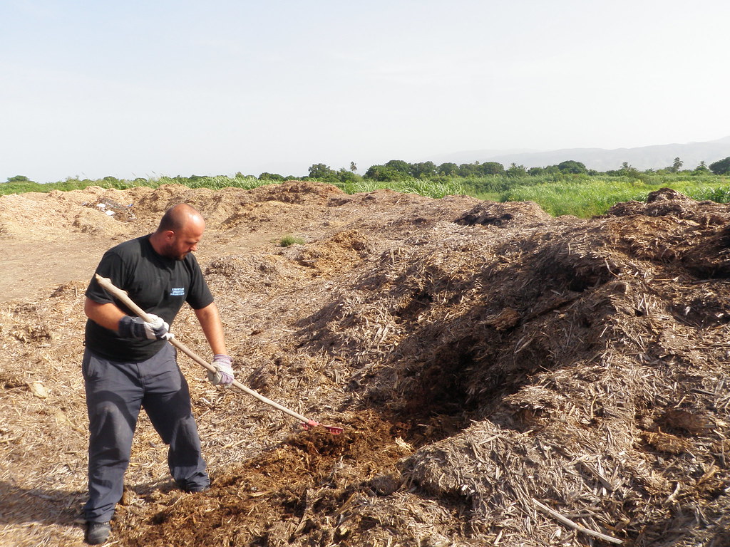 Step one of sustainable building: Gather free, locally available materials. Here Executive Director Andrew Chaggar gathers baggasse for adobe bricks