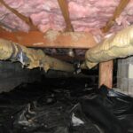 Crawl Space | Exploring under the house for fun | Jenny Cestnik ...