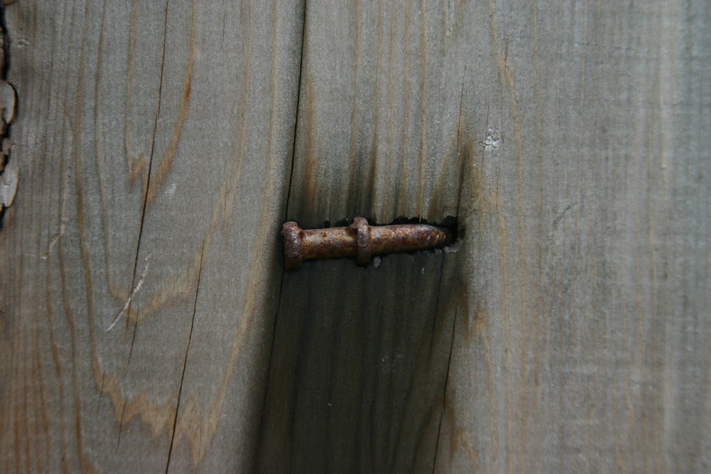 Fence Nail