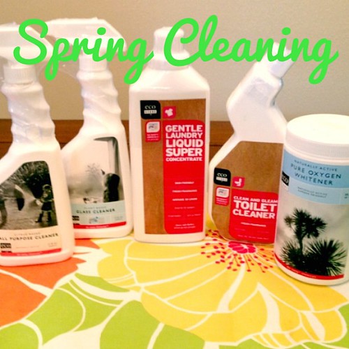 Did a ton of spring cleaning this weekend with these great eco-friendly products from @ecostoreusa #ambassador