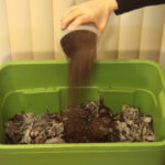 Worm Bin: Make Your Own Outdoor Composter | Make: