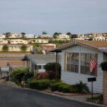 The Pros and Cons of Climbing Plants On Your Mobile Home | Pineca.com