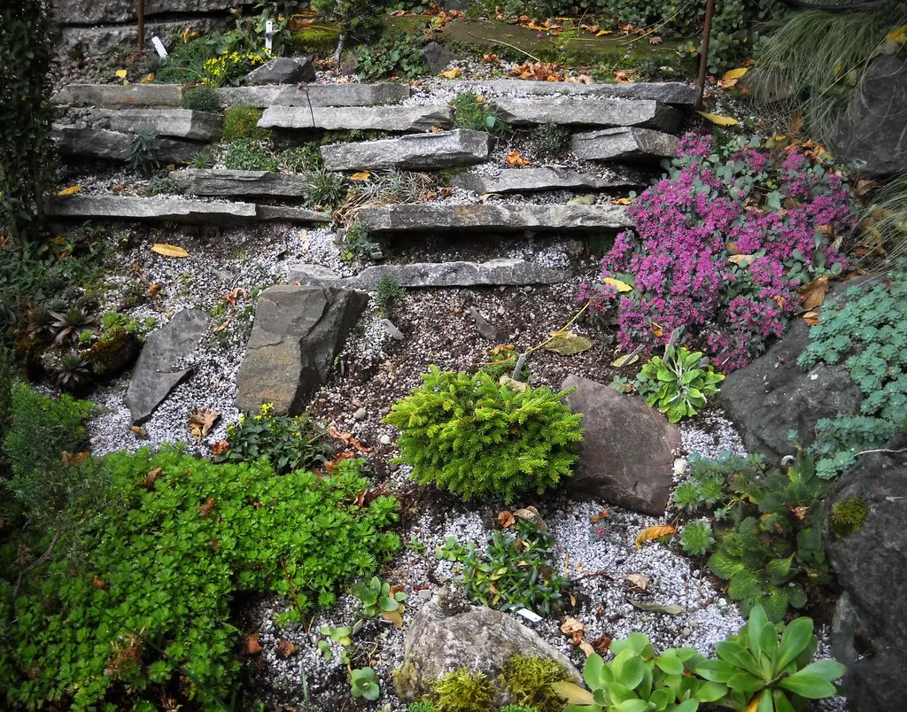 Our Small Crevice Rock Garden