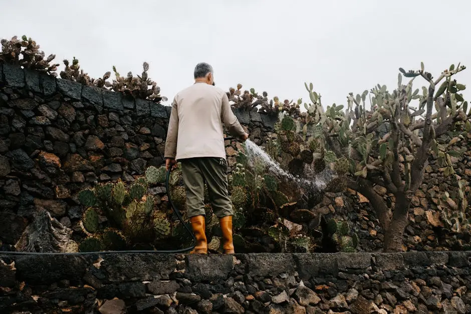 Small Rock Garden Ideas For Small Areas Gardener Watering Cacti in Volcanic Landscape