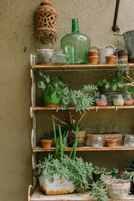 Eclectic Minimalism