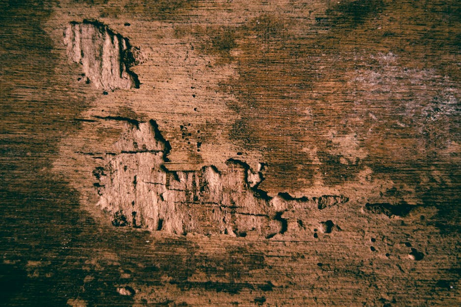 Closeup background of textured shabby solid plywood with rough dried surface and small chipped details place don street with sunlight