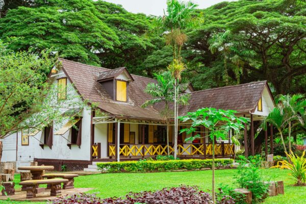 brown wooden house near green trees during daytime