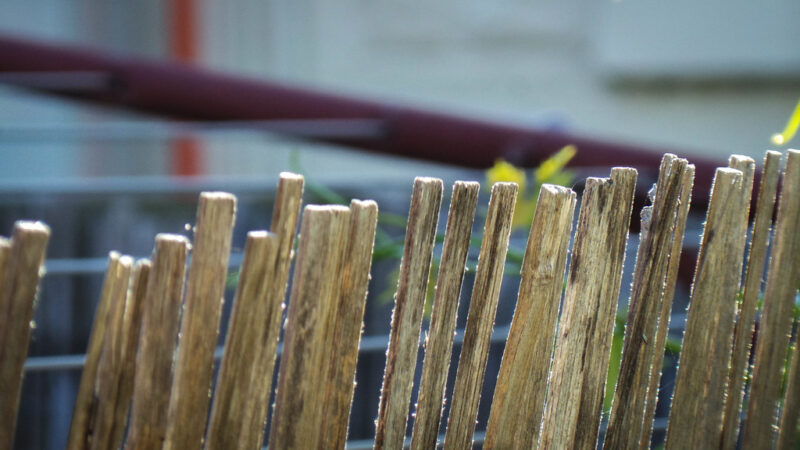 Bamboo Fence