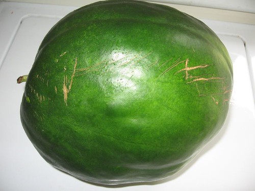 Small Black Diamond Watermelon