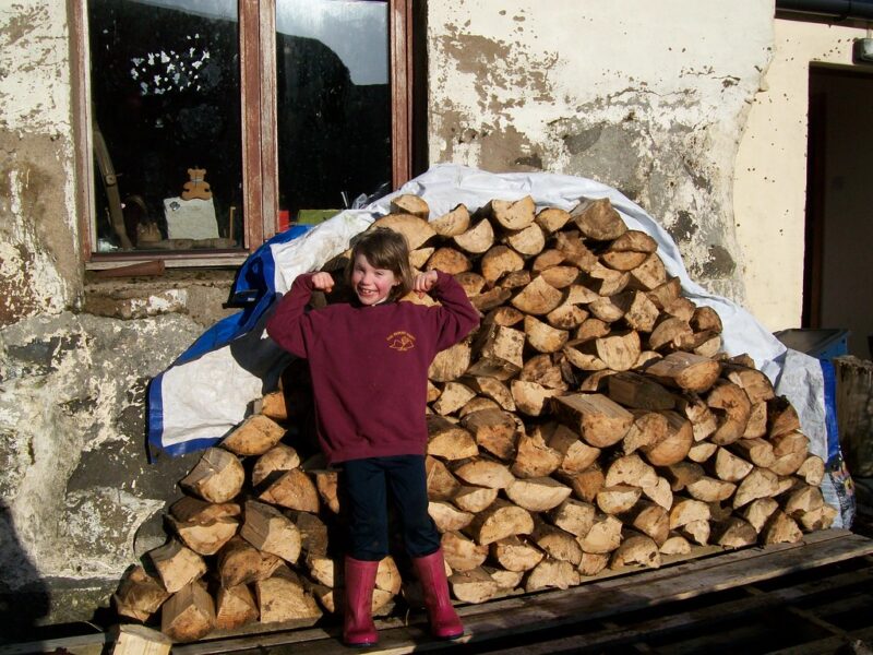 Wood storage