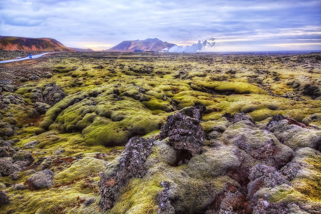 'Where the Green Moss Grows', Lava Field, Grindavik, Iceland