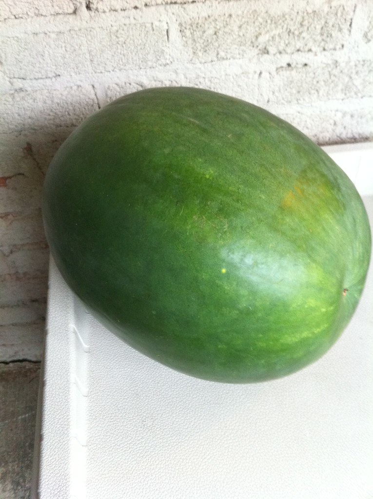 Black Diamond watermelon