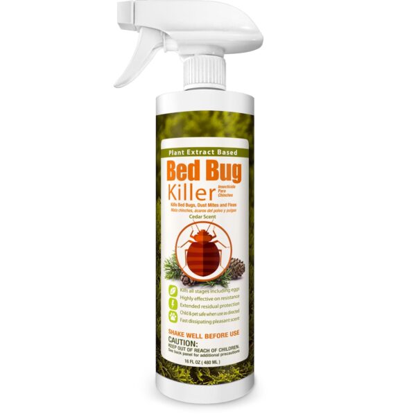 EcoRaider Extended Residual Protection: The Non-Toxic Bed Bug Solution