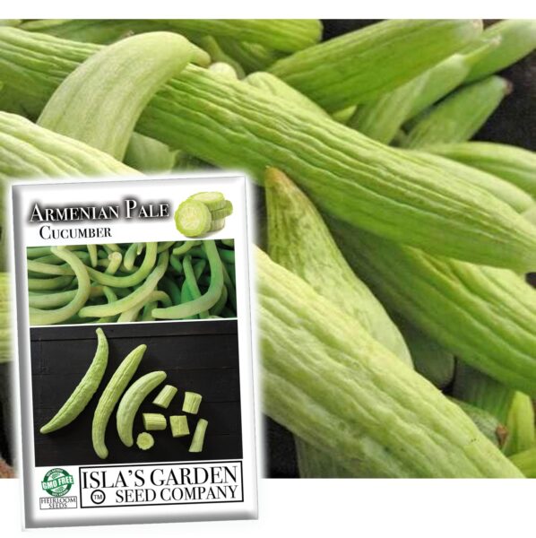 Guide to Planting Armenian Cucumber Seeds from Heirloom Botanical