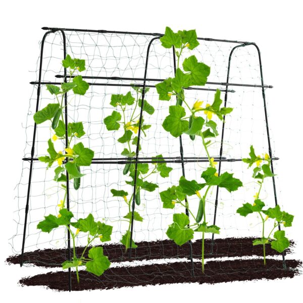 Lalahoni Cucumber Trellis: Optimize Your Armenian Cucumber Harvest