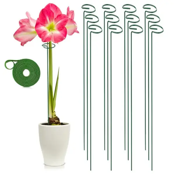 K Brands 16 Plant Support Stakes: Essential Support for Summer-Long Dahlia Blooms