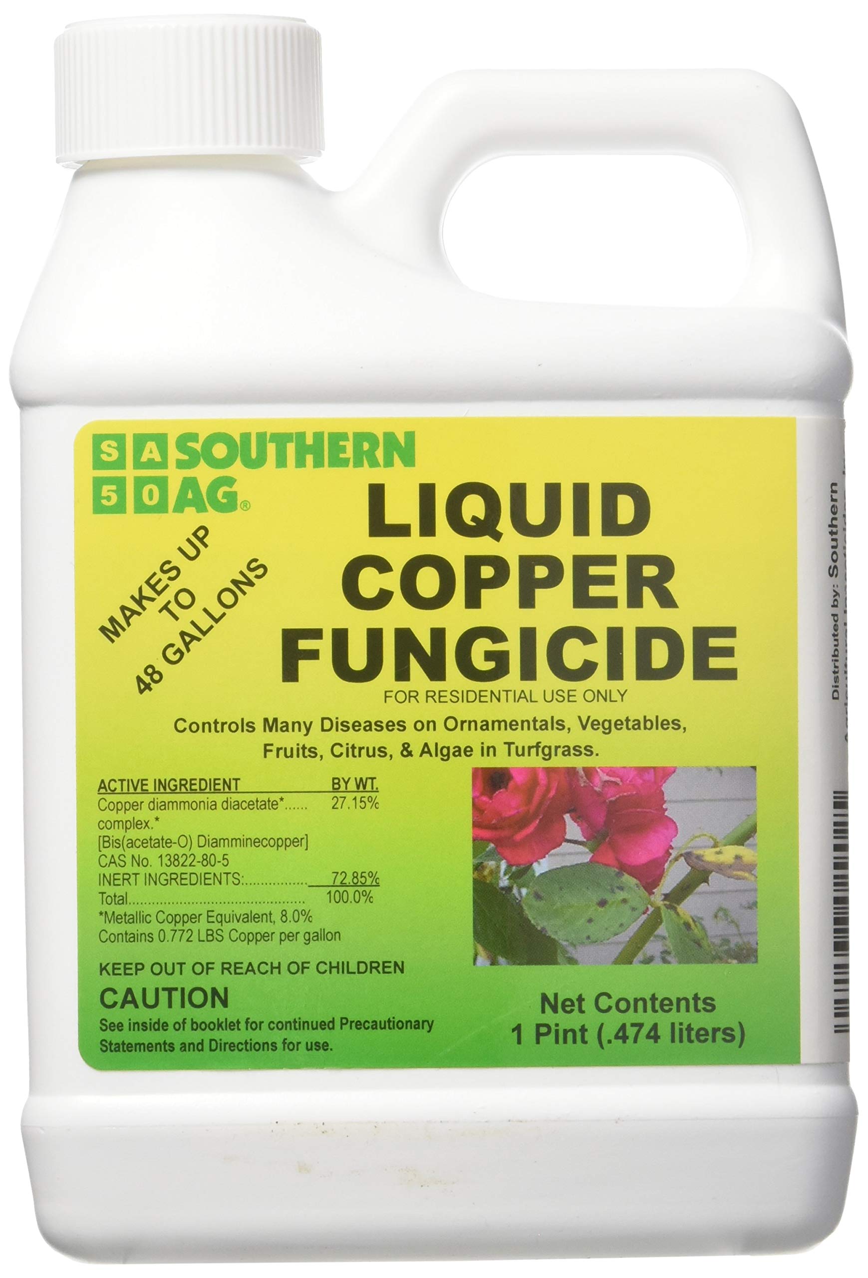 Boost Your Pumpkin's Defense With Southern Ag Liquid Copper Fungicide