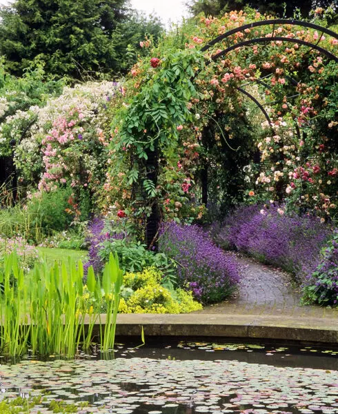 RNRS Gardens - ‘The Gardens of the Rose’, Hertfordshire, England | ( 8 of 12) Path through rose arbor near pond