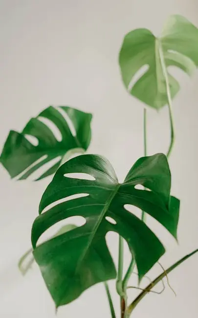 New Trends in Interior Design - Furniture Inspired by Nature Monstera Plant 