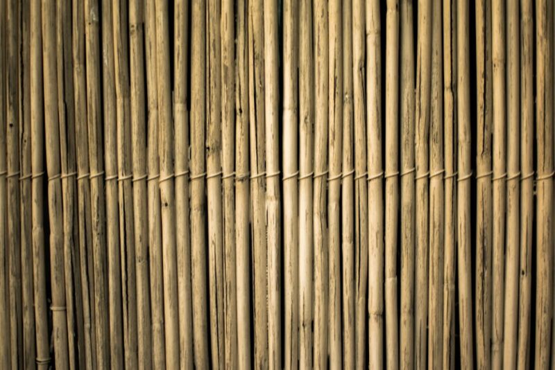 Bamboo Fencing Ideas for Your Garden: Creating a Natural and Sustainable Barrier Brown Bamboos