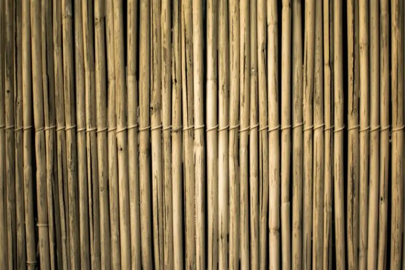 Bamboo Fencing Ideas for Your Garden: Creating a Natural and Sustainable Barrier Brown Bamboos