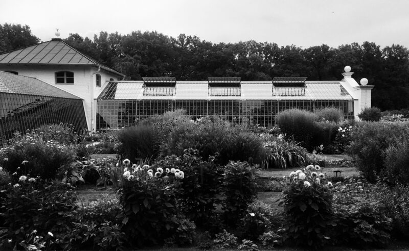 grayscale photo of house near trees