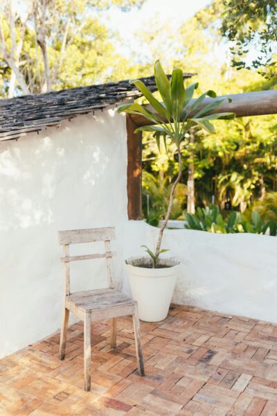 A chair and a potted plant on a patio