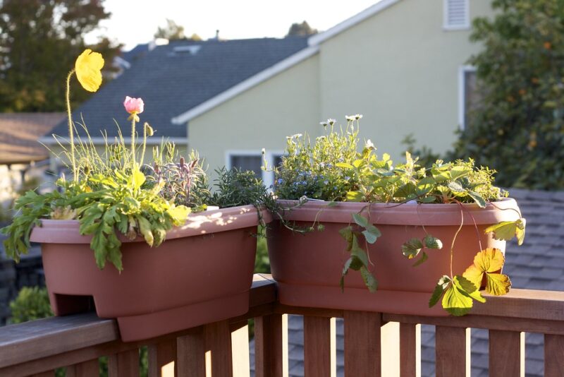 container herb garden on the railing planter