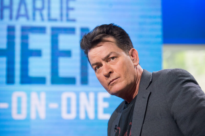 Charlie Sheen Net Worth A Deep Dive Into His Fortune Architecture