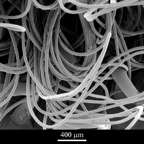SEM image of Velcro (TM)
