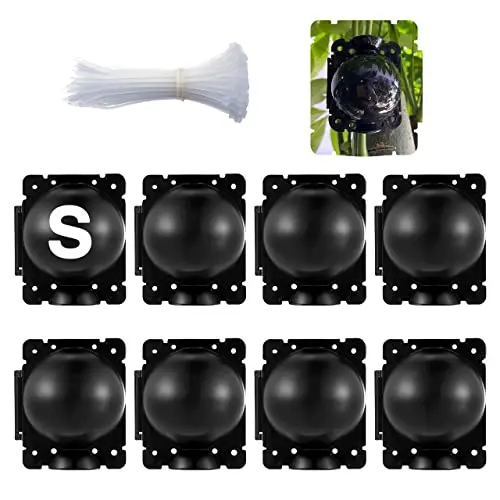 The Ultimate Guide to Propagating Snake Jake's Plants with SupKing Black Clear Root Balls