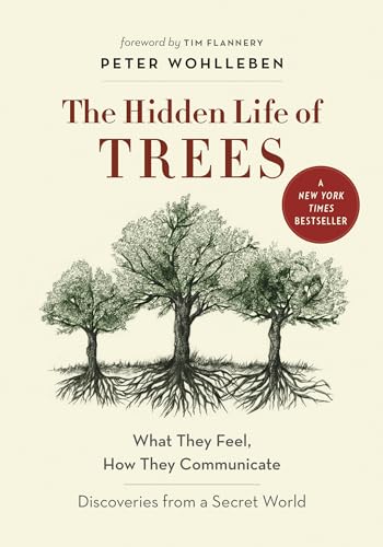 The Secrets Behind Trees Not Blooming In Spring: Insights From The Hidden Life Of Trees