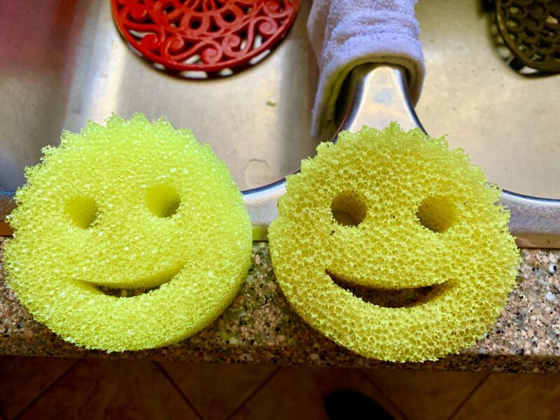 replacement Scrub Daddy day