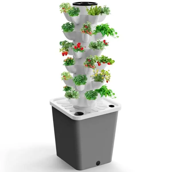 Create a Thriving Living Wall with the Hydroponics 30 Plants System