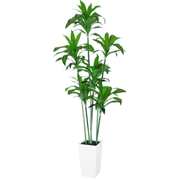 Elevate Your Space with VIVATREES Dracaena Angustifolia Artificial Planter