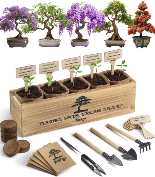 Discover the Magic of AVERGO Bonsai Tree Kit: A Journey to Spiritual Growth and Beauty