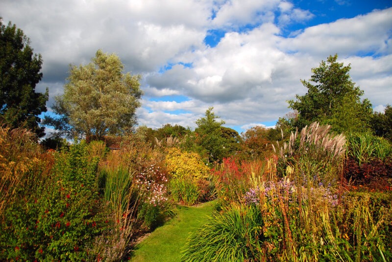 Marchants - A Gorgeous Garden Landscape