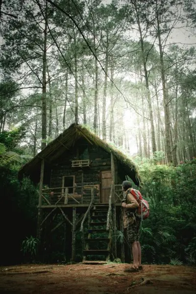 mountaineer standing in the middle of forest nearby hut