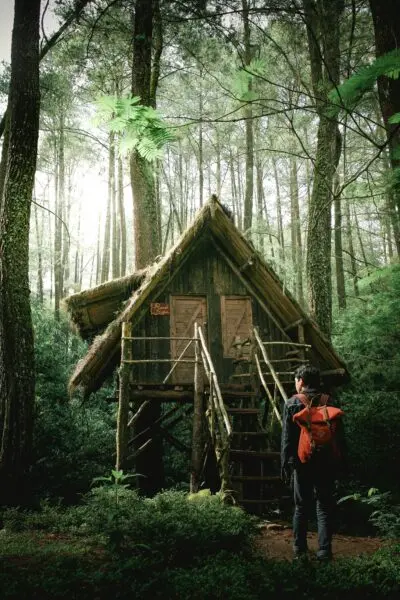 photo of man standing infront of green wooden bungalow in the middle of forest