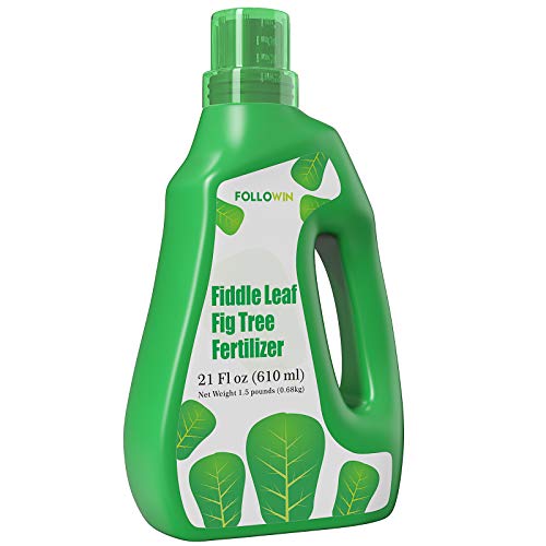 Fiddle Leaf Fig Tree Plant Food - 21 oz. Liquid Fertilizer for Indoor Plants