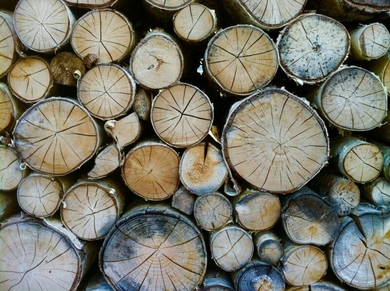 Detailed view of stacked logs showing distinct circular patterns and rough textures.