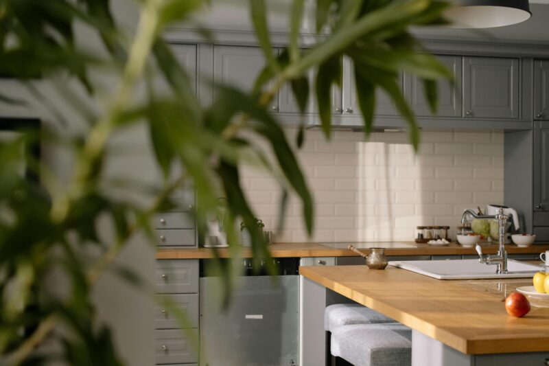 A sleek kitchen with wooden countertops and subtle minimalist design elements, showcasing modern cabinetry and a houseplant.